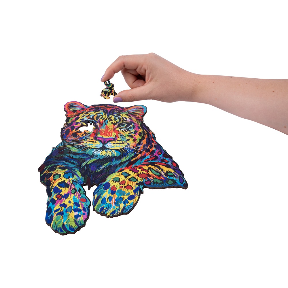 602010_08